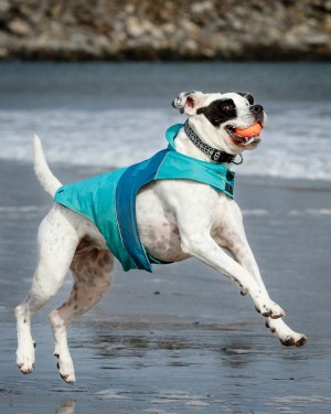 ©Trevor Awalt_MG_5070_s