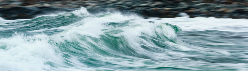 © You Can Learn Photography