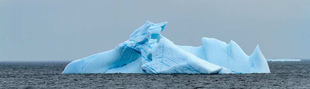 © You Can Learn Photography