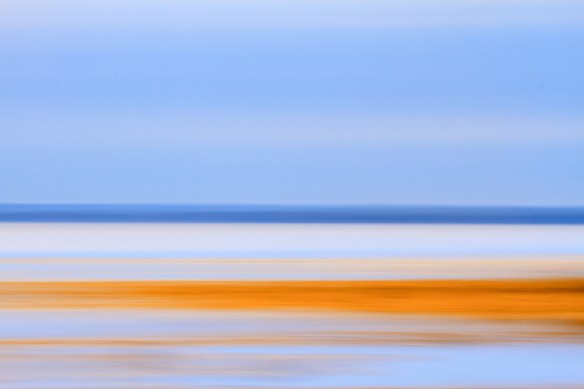 ©Trevor Awalt_MG_8278