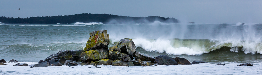 © You Can Learn Photography