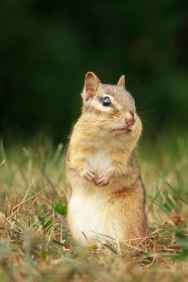 Introduction_2016-08-12_MG_8385