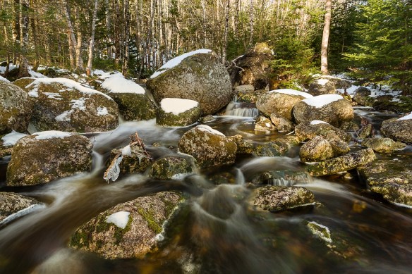 Last Signs of Snow_©Trevor Awalt_MG_0329-Edit_s