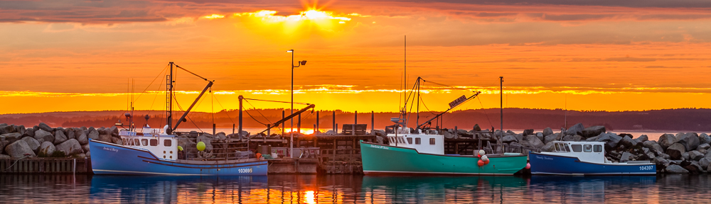 © You Can Learn Photography