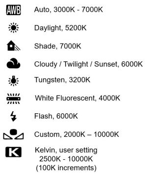 ©Trevor Awalt_Canon White Balance