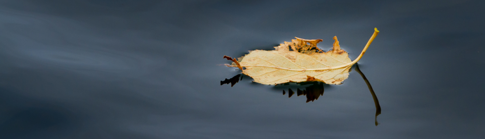 © You Can Learn Photography