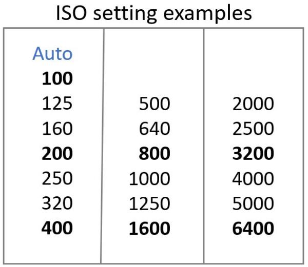 ©Trevor Awalt_ISO Setting Examples