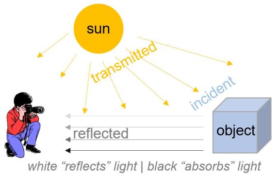 ©Trevor Awalt_Reflected Light