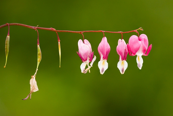 ©TrevorAwalt_48A2351-Edit_s