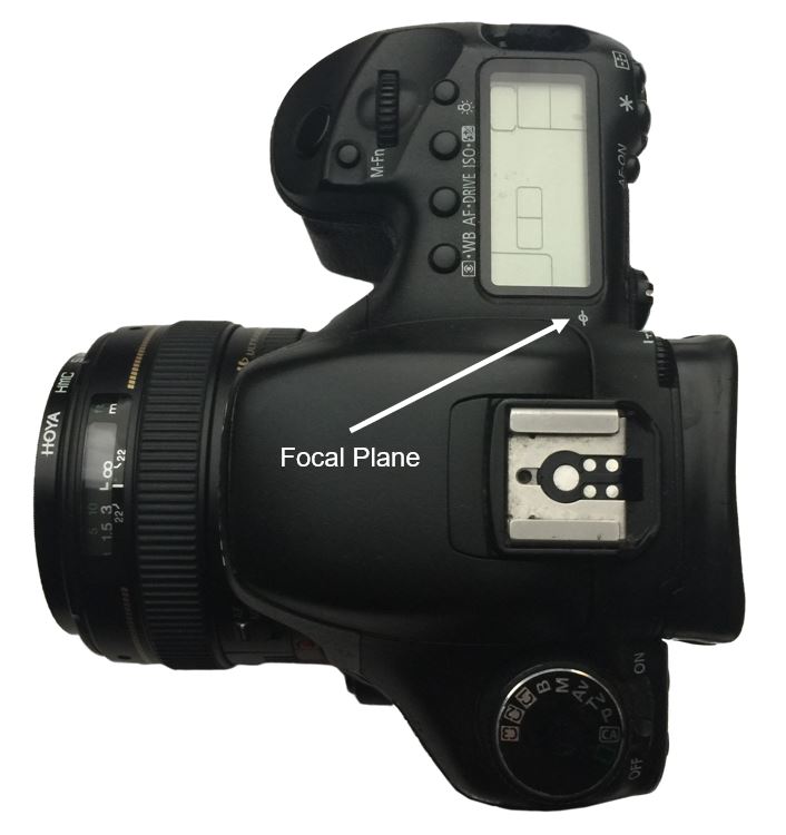 ©Trevor Awalt_Focal Plane