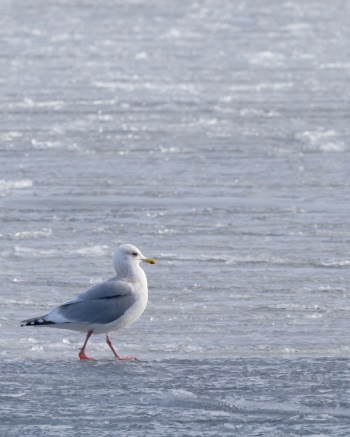 ©TrevorAwalt_MG_8571-Edit_s