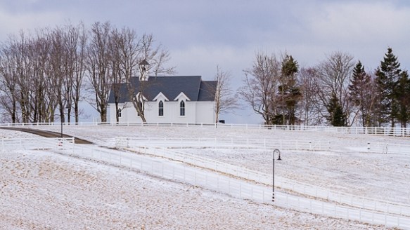 ©TrevorAwalt__MG_6627-Edit_s