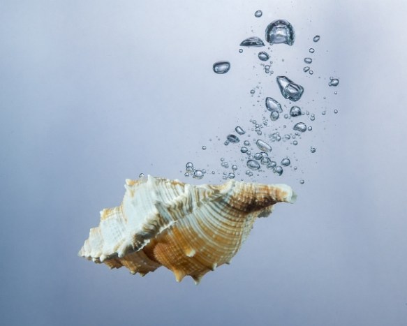 ©TrevorAwalt_IMG_5005-Edit_small