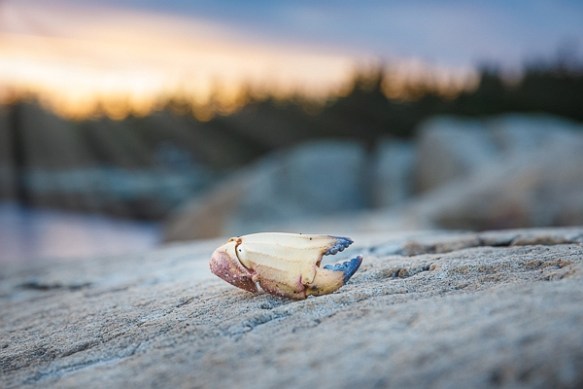 ©TrevorAwalt00360__48A9391-Edit-2_s