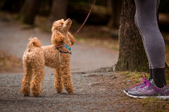 ©TrevorAwalt_MG_1292-Edit_s