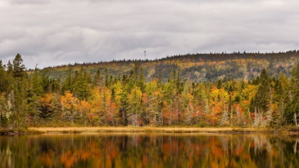 ©Trevor Awealt_IMG_3213-Pano_small