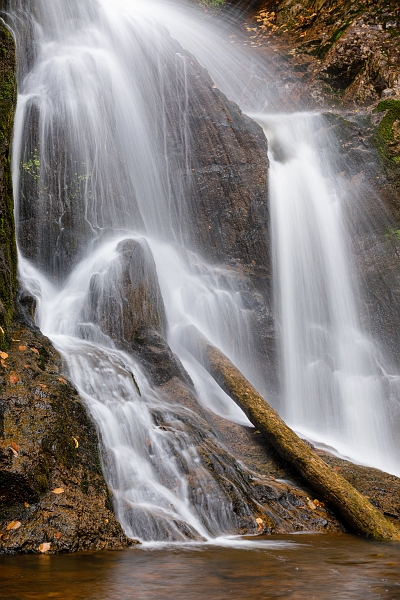 ©Trevor Awalt_48A8100_small