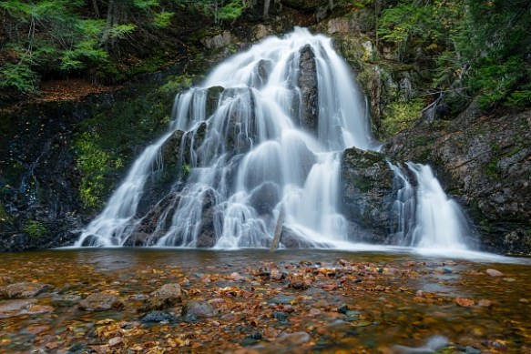 ©Trevor Awalt_48A9360-Edit_small