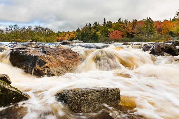 ©Trevor Awalt_IMG_4398_small