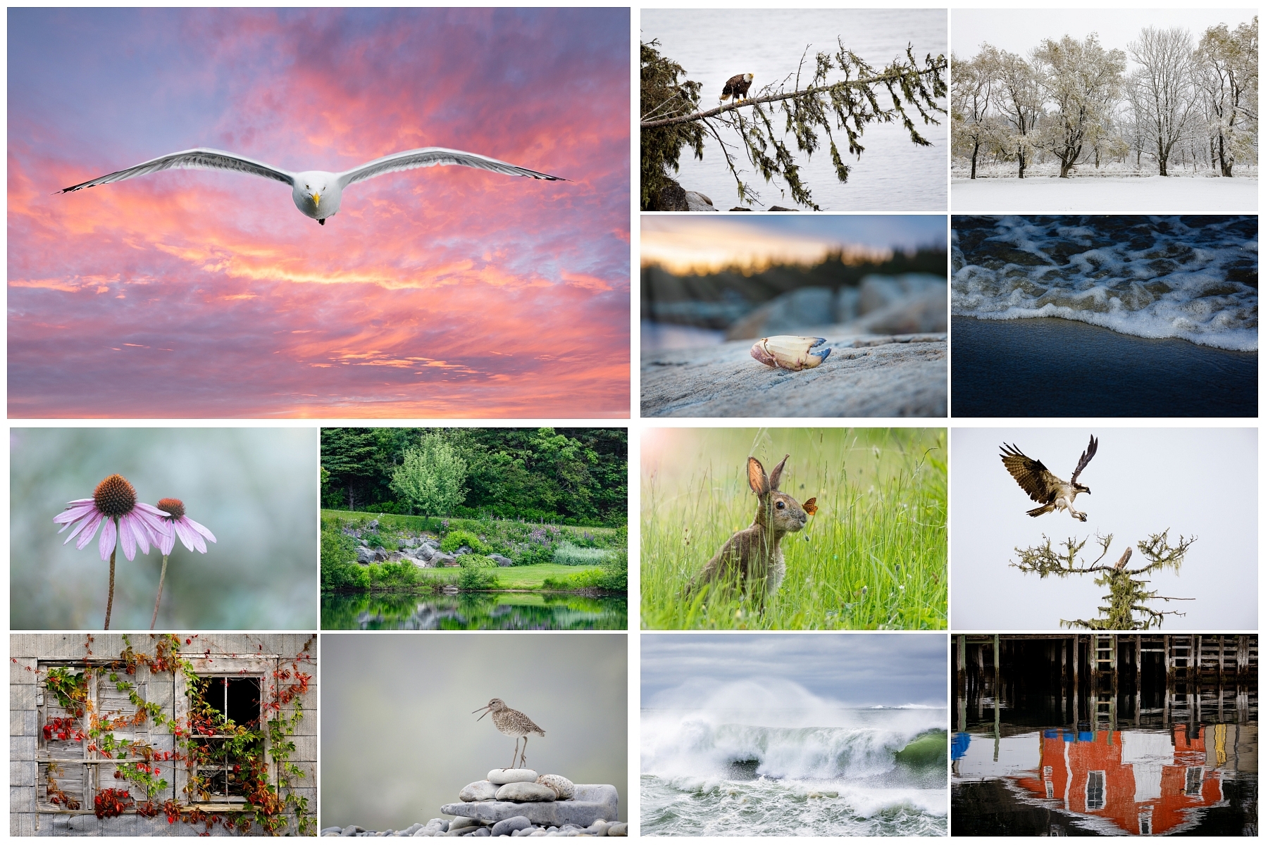 collage favorites 2020_s