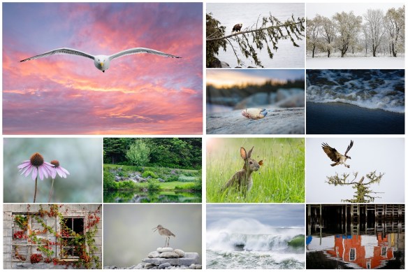 collage favorites 2020_s